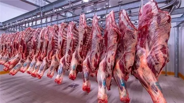 "التموين" تتوسع في طرح اللحوم بأسعار مخفضة بالتعاون مع القطاع الخاص