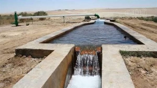 العثور على جثة غريق بحوض ري زراعي ببني سويف