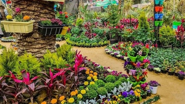 القومي للبحوث يكشف مخاطر حساسية الربيع وحبوب اللقاح والوقاية منها