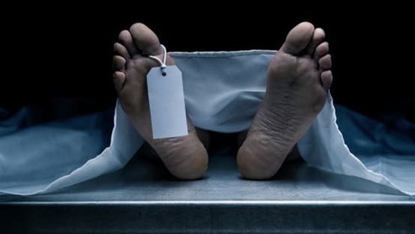 أخبار الحوادث اليوم، الديب فريزر تحول إلى نعش، مقتل جزار داخل محله بالهرم، «امشي يلا معندكش دم»، مشاجرة بين نائب محافظ سوهاج والسكرتير العام، العثور على جثة رضيعة تتدلى من شجرة بحبلها السري في بولاق