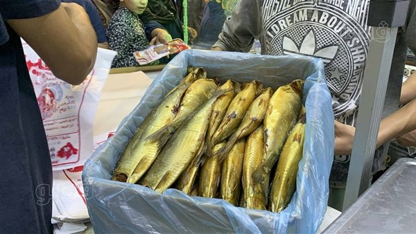 العيد رنجة.. إقبال كثيف على محال الفسيخ والأسماك.. برطمان الـ سي فود بـ 190 جنيهًا والبوري الجامبو بـ 350.. وهذه أبرز الخضروات المكملة وأهميتها (فيديو وصور)