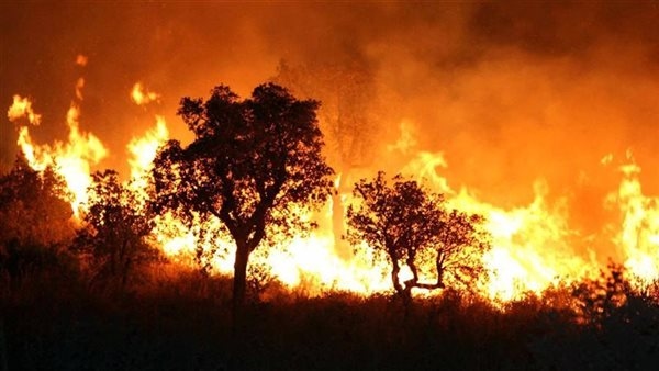 حريق غابات يودي بحياة 10 من رجال الإطفاء وعمال الإنقاذ في تركيا