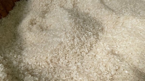 سعر الأرز يسجل 26 جنيها فى أول أيام عيد الفطر