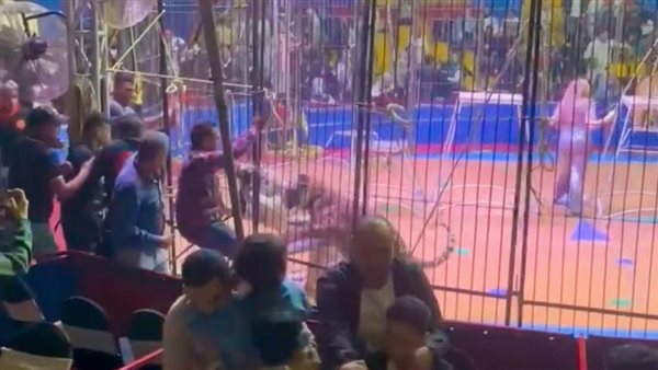 موعد محاكمة أنوسة كوتة في واقعة ضحية النمر بطنطا