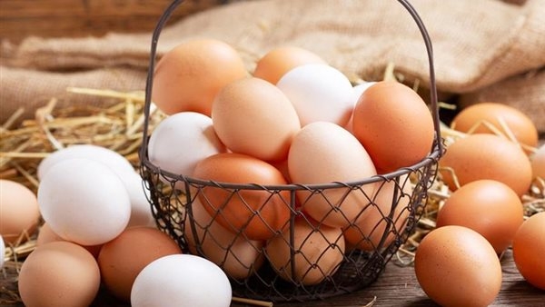 السويد تمتنع عن توريد بيض الدجاج إلى الولايات المتحدة