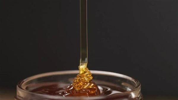 عسل السدر الجبلي مضاد حيوي طبيعي