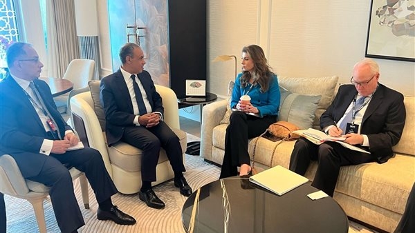 وزير الخارجية يؤكد لنائبة المبعوث الأمريكي للشرق الأوسط رفض مصر لتهجير الفلسطينيين