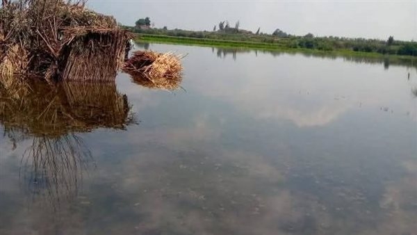 غرق 648 فدانا في المنوفية بسبب ارتفاع منسوب نهر النيل