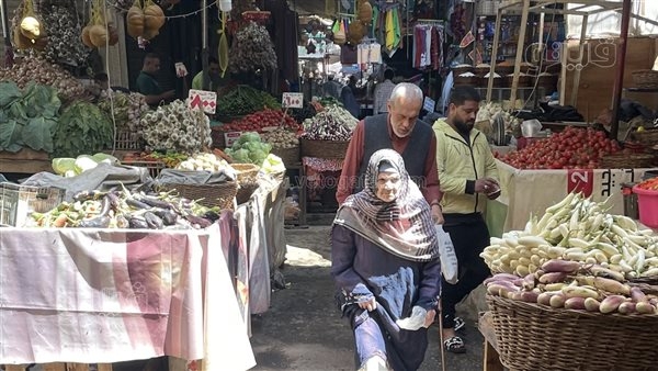ارتفاع أسعار الفاكهة والخضروات اليوم بسوق الجيزة (صور)