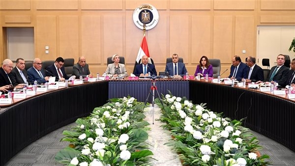 وزير الصناعة: ضرورة ضخ استثمارات جديدة لاستغلال الباجاس في تصنيع الورق والأخشاب