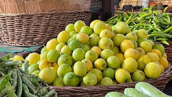 شعبة الخضراوات تكشف موعد انتهاء أزمة اسعار الليمون