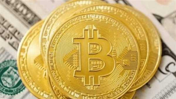بعد انخفاض البيتكوين 20%، خبير اقتصادي يكشف حيتان العملات الرقمية