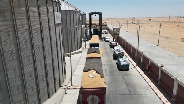 الزملوط يفتتح موسم بشائر الخير ويتفقد جاهزية صوامع توريد القمح بالخارجة