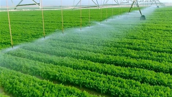 الإحصاء: 71.5٪ زيادة فى صافى قيمة الدخل الزراعى عام 2022/ 2023