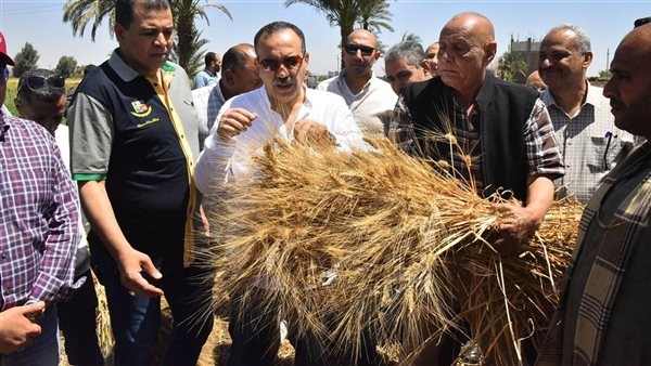 محافظ أسيوط يشهد انطلاق موسم حصاد الذهب الأصفر بأحد حقول درنكة (صور)