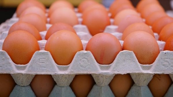 الكرتونة تبدأ من 116 جنيهًا، تخفيضات على أسعار البيض في السلاسل الغذائية