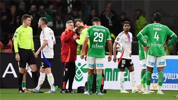 الكشف عن عقوبة إلقاء قطع نقدية على حكم بالدوري الفرنسي