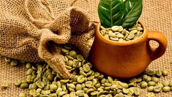 فوائد القهوة الخضراء، لصحة القلب والكلى وحماية من الشيخوخة