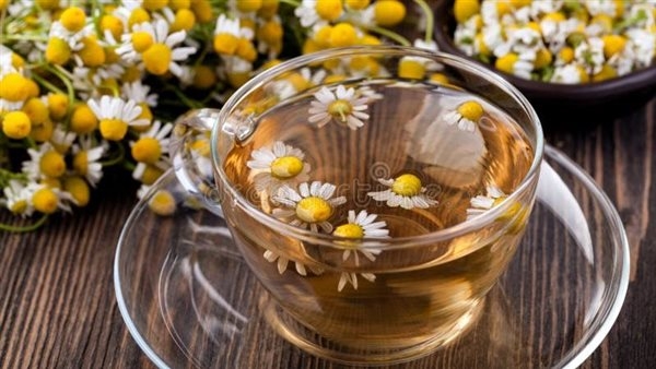 فوائد البابونج، لراحة أعصابك ومعدتك وجمال شعرك