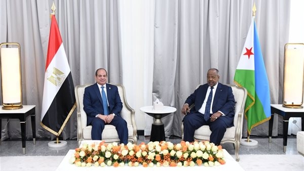 مصر وجيبوتي تؤكدان دعم مؤسسات الدولة الوطنية السورية واستقرارها ورفض كافة أشكال العنف