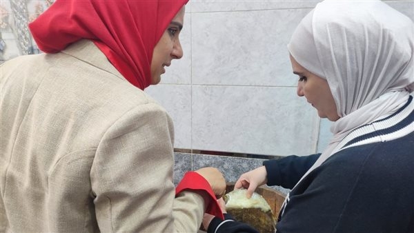 ضبط 13 طن أسماك ورنجة وفسيخ مخالفة للمواصفات في الدقهلية
