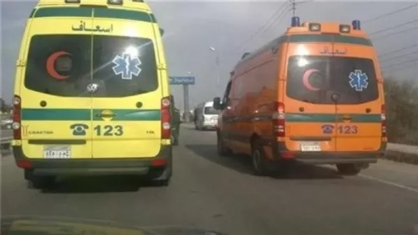 شاب يذبح شقيقته بـ"كتر" ويمثل بجثتها لشكه في سلوكها بأوسيم