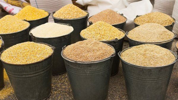 طن البادي يرتفع 1000 جنيه، أسعار الأعلاف والحبوب في الأسواق