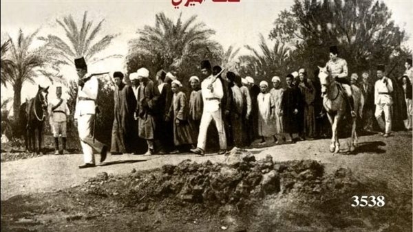 "بيولوجيا السلوك الإجرامي" و"فظائع العدالة تحت الحكم البريطاني في مصر" قريبا بالقومي للترجمة