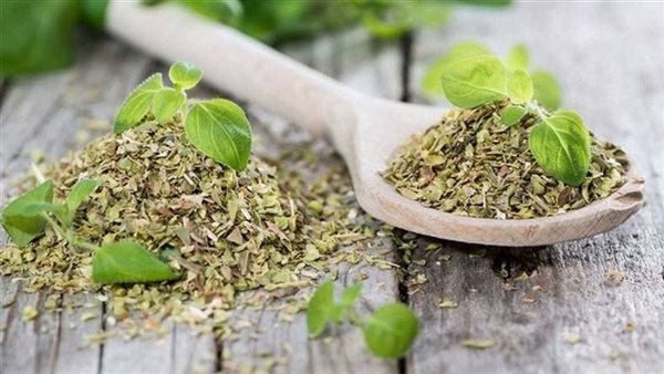 فوائد البردقوش، يقوي المناعة ويخفف الالتهابات بالجسم