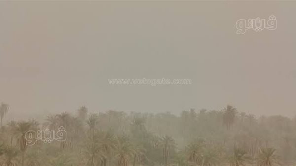 عاصفة ترابية ورياح خماسينية محملة بالأتربة تجتاح الوادي الجديد (صور)