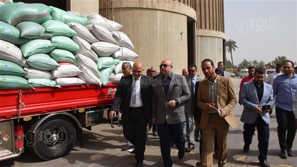 محافظ بني سويف: توريد 228 ألف طن قمح محلي للشون والصوامع