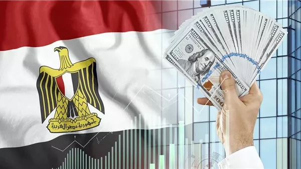 أخبار الاقتصاد اليوم: ارتفاع أسعار الفراخ البيضاء بالأسواق اليوم، الذهب عيار 21 يستقر عند 4892.5 جنيها، "أوبك +" يقدم موعد اجتماع مناقشة خطط إنتاج النفط