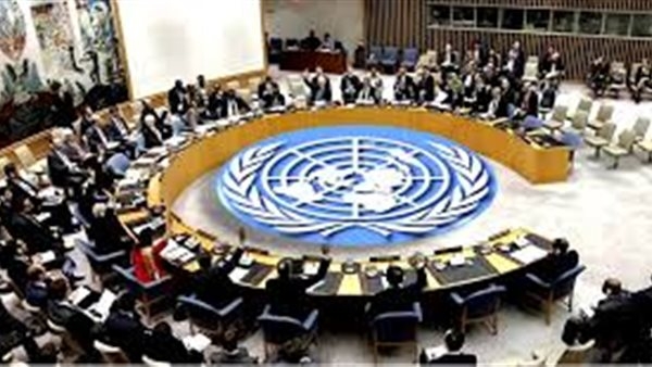 خبير: مصر تخوض معركة العدالة الدولية لإنهاء 80 عامًا من الهيمنة على مجلس الأمن