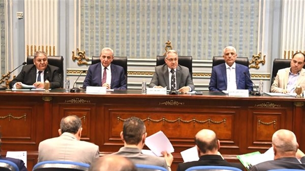 محافظ الغربية يكشف خطوات توفير ظهير صحراوي للمحافظة