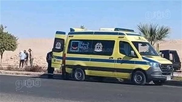 تفاصيل العثور على جثتين متحللتين في أماكن مختلفة بالمنصورة