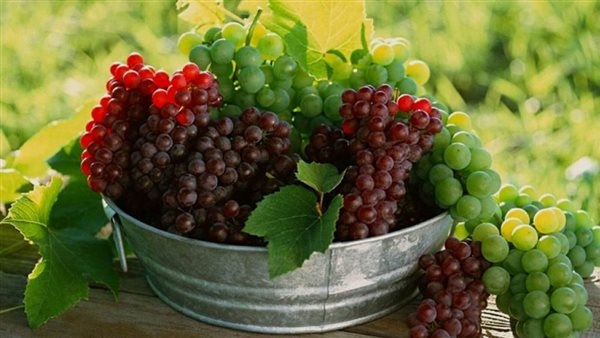 فوائد العنب الأحمر، يحارب الالتهابات ويضبط المود