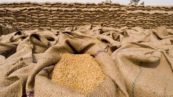 استمرار أعمال توريد القمح بمحافظة قنا بإجمالي 112 ألف طن و781 كيلو حتى الآن