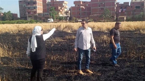 حريق في حقل قمح بقرية اصطباري بالمنوفية