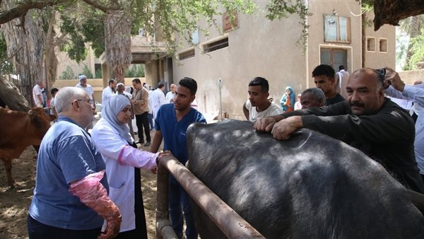 جامعة الفيوم تنظم قافلة طبية بقرية الأعلام