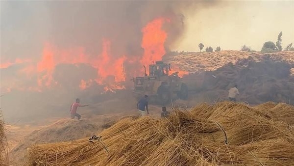 تحرك عاجل من "البيئة" تجاه شكوى سكان زهراء المعادي من حرائق يومية