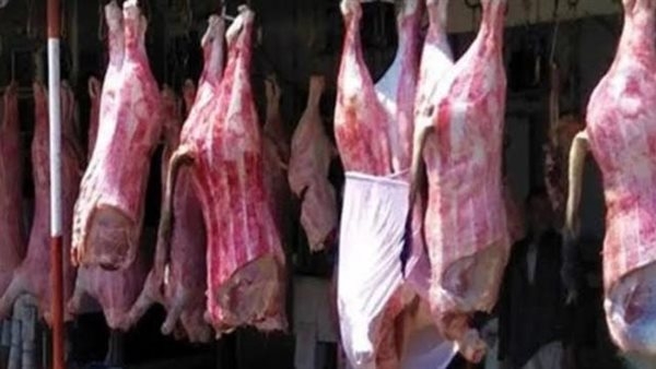 باستثناء الكندوز الكبير، انخفاض ملحوظ في أسعار اللحوم اليوم بالأسواق