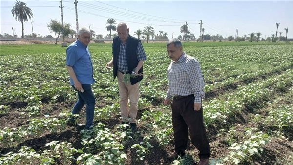 زراعة أسيوط تنظم متابعات ميدانية للمحاصيل وتقدم الدعم للمزارعين