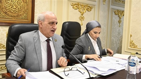 خلال اجتماع تعليم النواب، تعرف على مطالب مكتبة الإسكندرية في الموازنة الجديدة