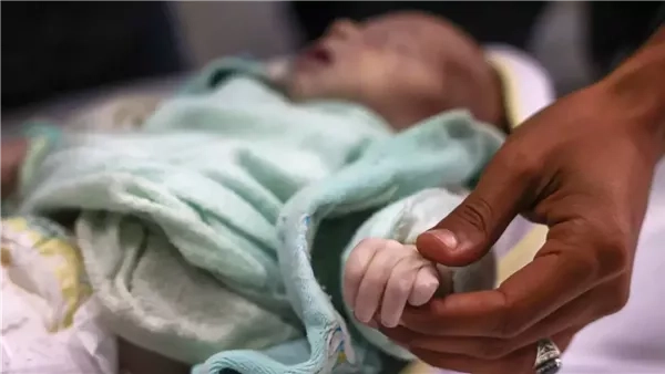 14 ألف رضيع في غزة سيموتون خلال 48 ساعة، بيان خطير للأمم المتحدة