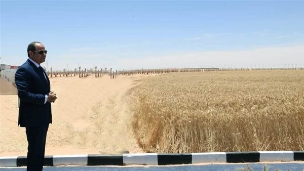 اليوم، السيسي يشهد موسم حصاد القمح ويتفقد مدينة مستقبل مصر الصناعية