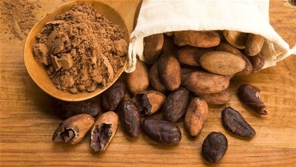 فوائد الكاكاو، يقوى المناعة ويحمى من الزهايمر وينظم السكر بالدم