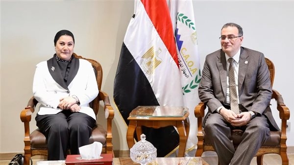 "التنظيم والإدارة" يبحث مع "القومي للطفولة" مراجعة الهيكل التنظيمي للمجلس