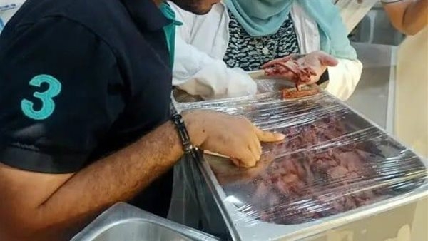 التحفظ على 17 طن لحوم وأغذية فاسدة في حملات مفاجئة قبل عيد الأضحى بالغربية