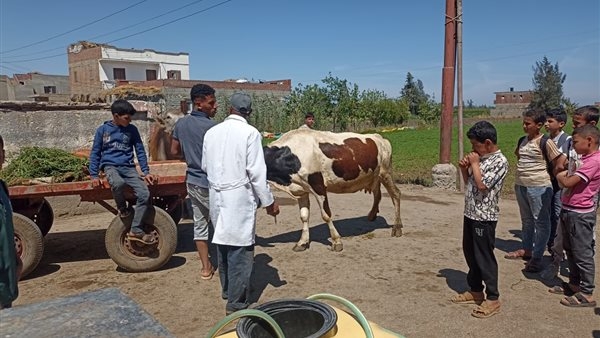 الزراعة تطلق قوافل بيطرية مجانية لرعاية 15 ألف حيوان وطائر في قرى 10 محافظات