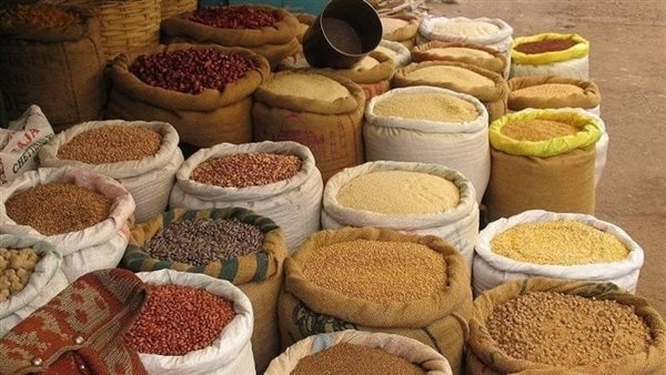 ارتفاع الردة وانخفاض الذرة والصويا، أسعار الأعلاف والحبوب في الأسواق